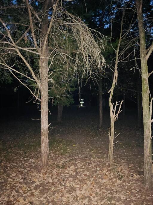 Bastrop Tiny Disc Golf Retreat别墅 外观 照片
