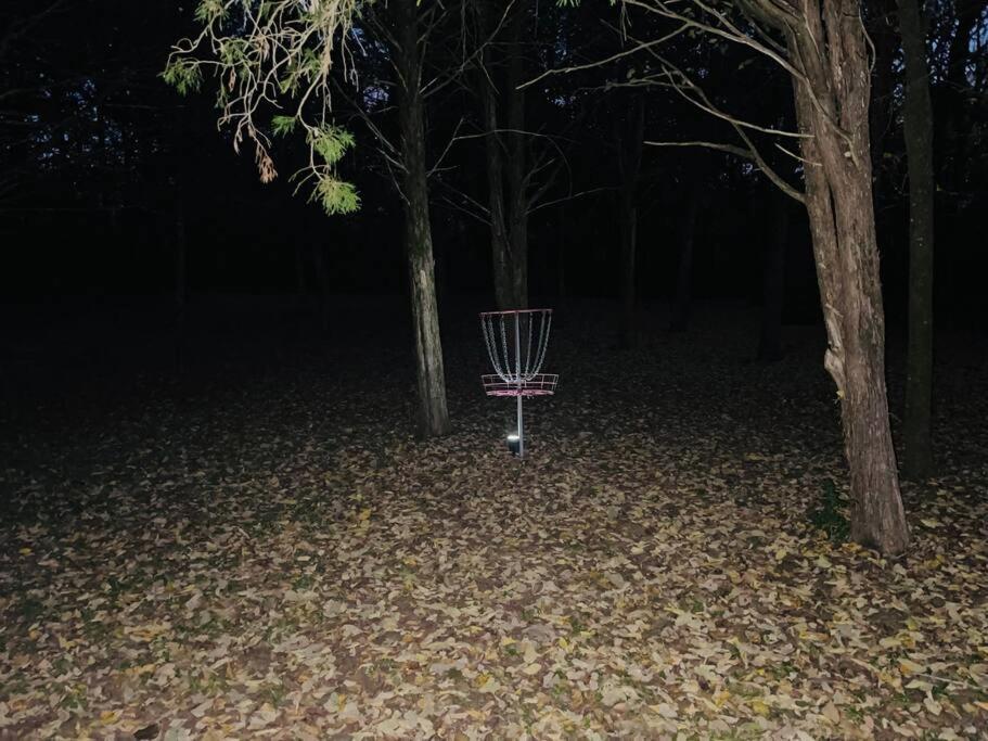 Bastrop Tiny Disc Golf Retreat别墅 外观 照片