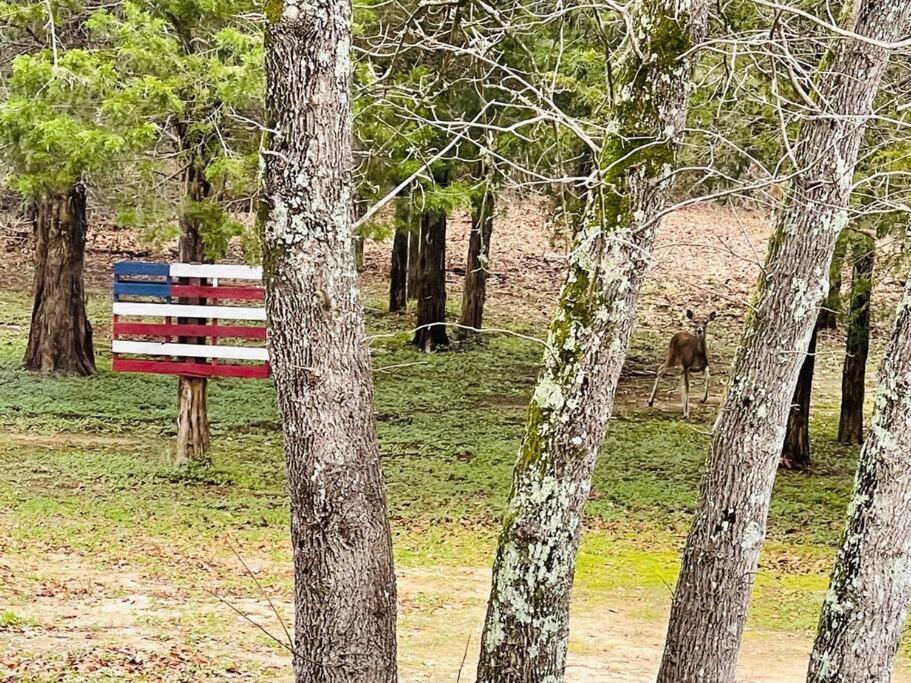 Bastrop Tiny Disc Golf Retreat别墅 外观 照片